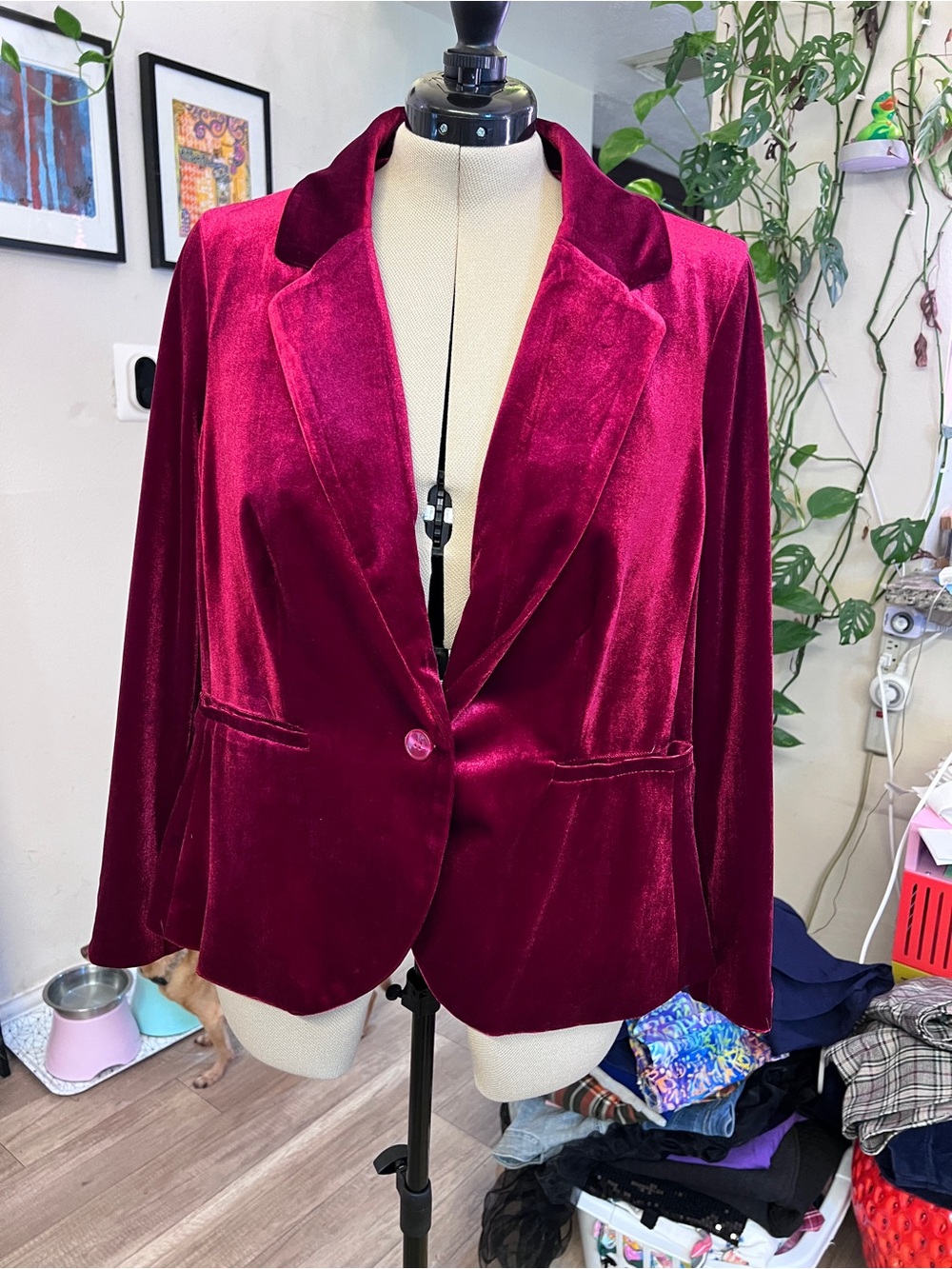 Modcloth Velvet Blazer in Rich Wine